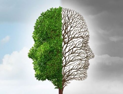 Guía de ayuda psicológica para niños, niñas y adolescentes afectados por la DANA